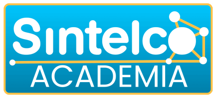 SINTELCO ACADEMY